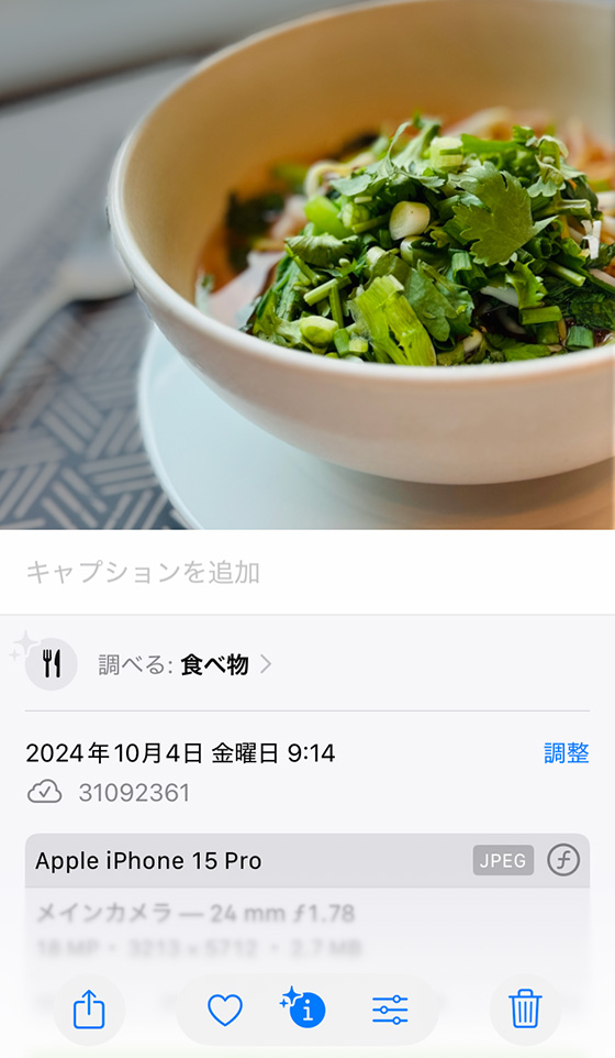 iPhone標準写真アプリで画像の情報を表示