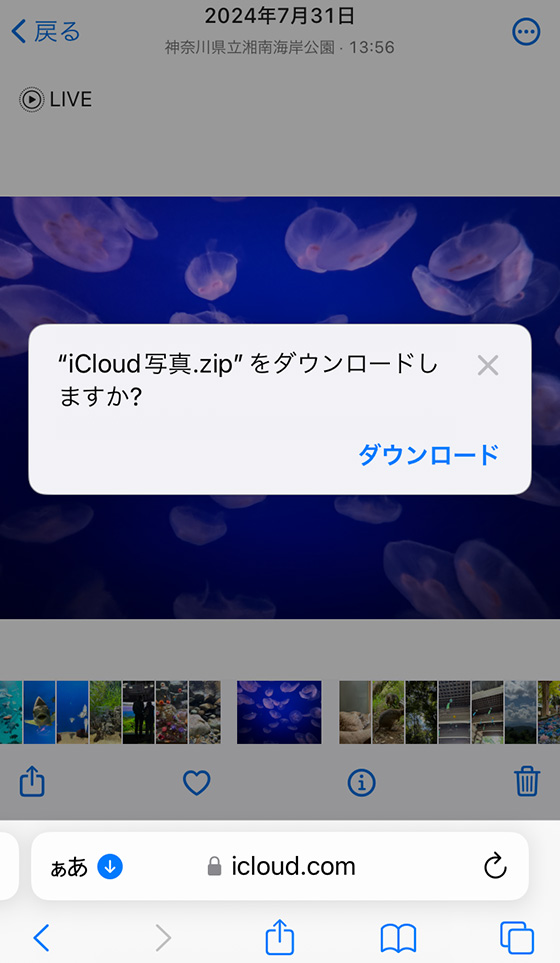 iCloud.com（アイクラウドドットコム）の写真アプリからライブフォトをダウンロード