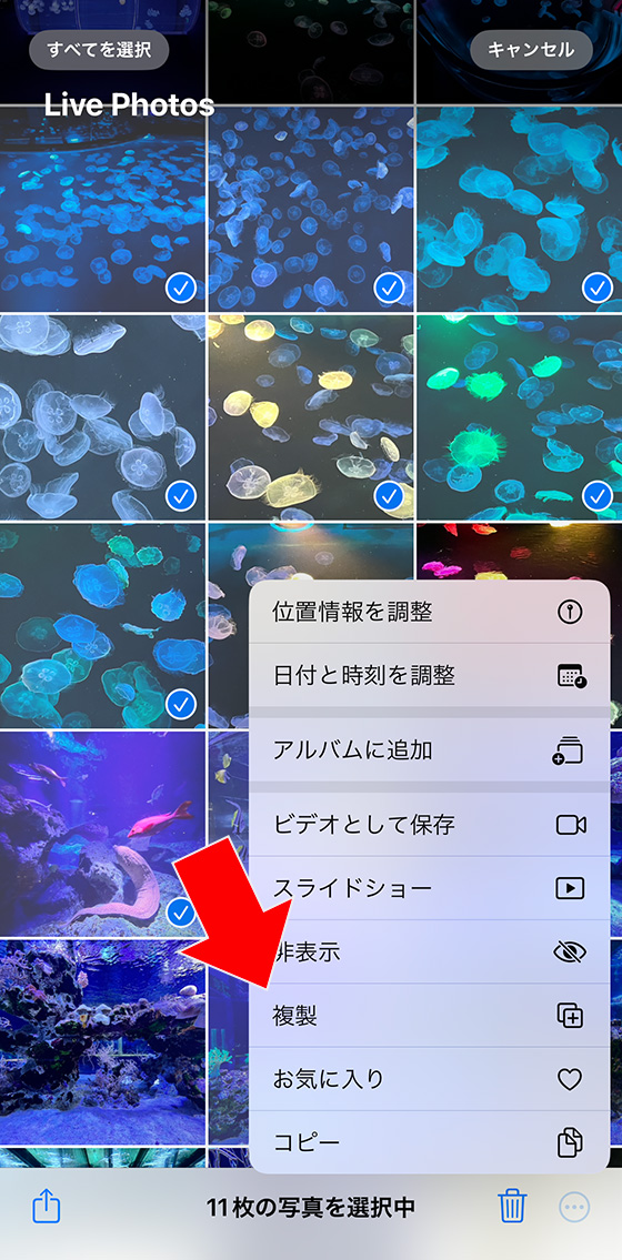 iPhone標準の写真アプリでライブフォトをまとめて複製して通常の写真(静止画)へ変換する