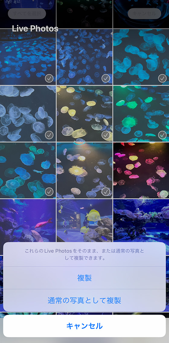 iPhone標準の写真アプリでライブフォトをまとめて複製して通常の写真(静止画)へ変換する