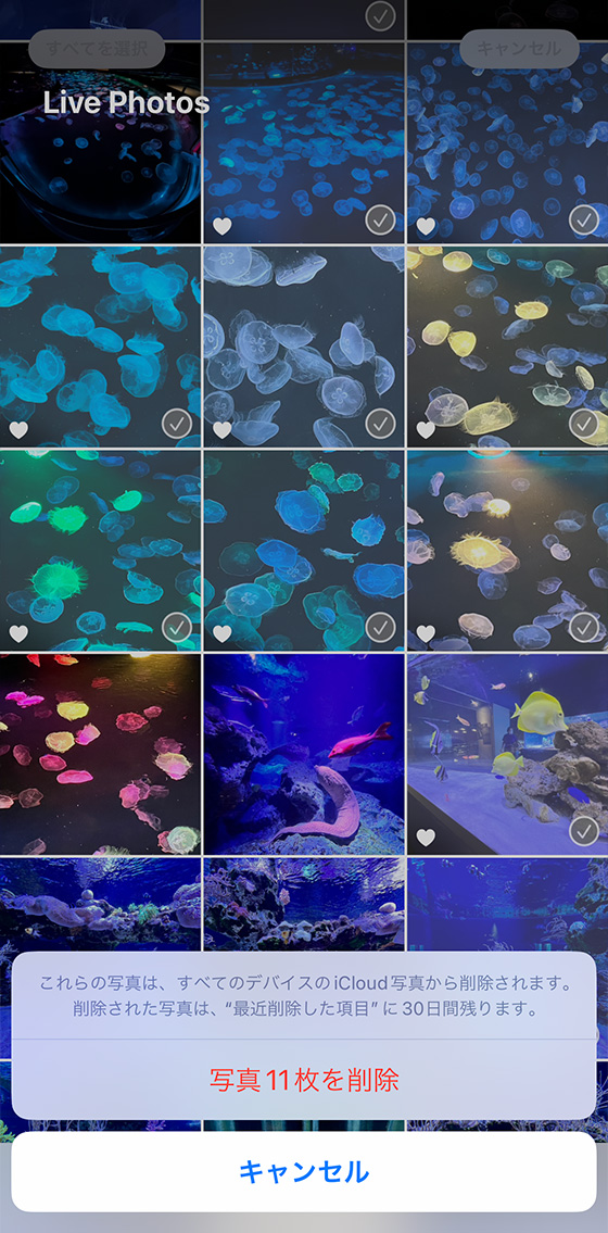 iPhone標準の写真アプリでライブフォトをまとめて削除する