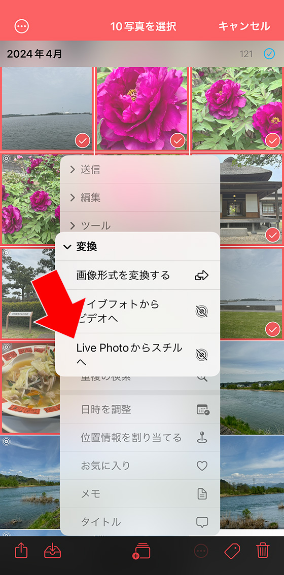 iPhoneアプリ「HashPhotos」でライブフォトをまとめて通常の写真(静止画)に変換する