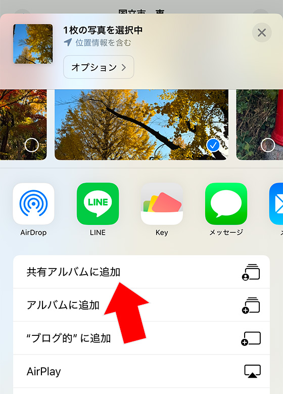 iPhoneの写真を共有アルバムに追加