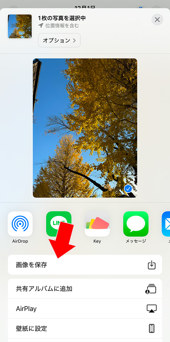 iPhoneの共有アルバムの画像を保存