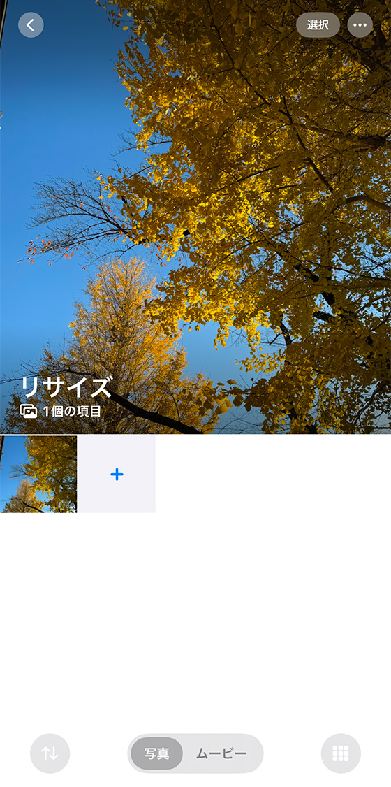 iPhone標準写真アプリの共有アルバム