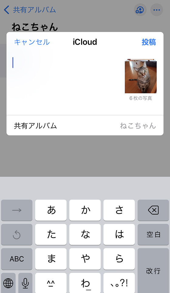 iPhoneに共有アルバムを作成