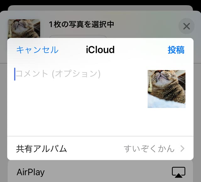 iPhoneの共有アルバムに写真を追加