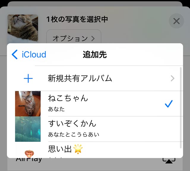 iPhoneの共有アルバムに写真を追加