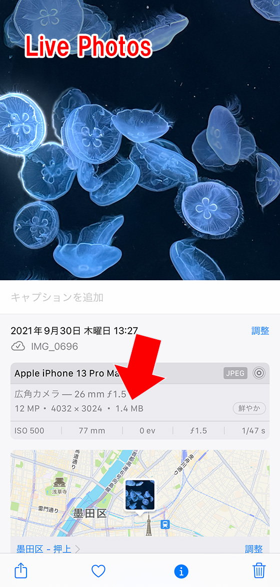 iPhone標準写真アプリでファイルサイズを確認