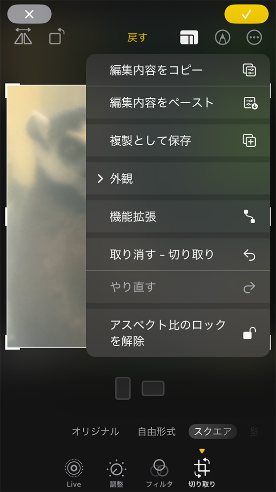 iOS18の写真アプリの編集機能