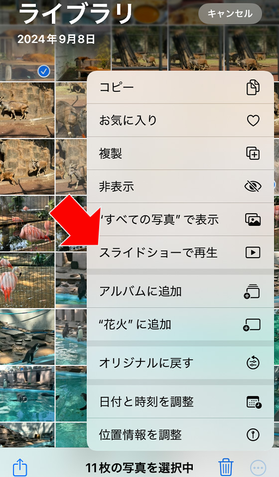 iOS18の写真アプリでスライドショーで再生