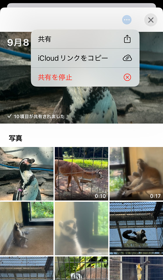 iPhone写真アプリでiCloudリンクを確認