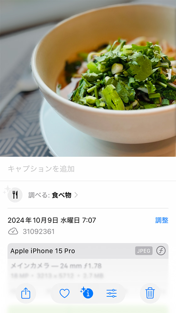 iPhone標準写真アプリで写真の詳細情報を見る