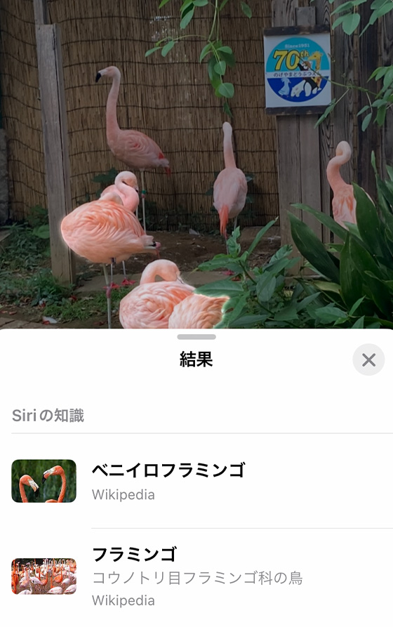 iOS17のiPhoneで切り抜いた写真を調べる