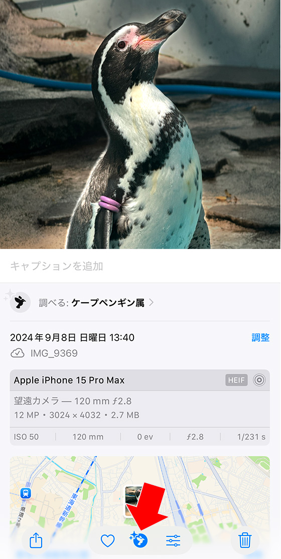 iOS18の写真アプリで画像を調べるボタンをタップ