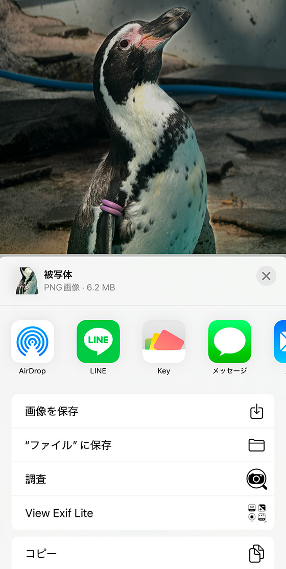 iOS18のiPhone写真アプリで切り抜いた写真の共有メニュー