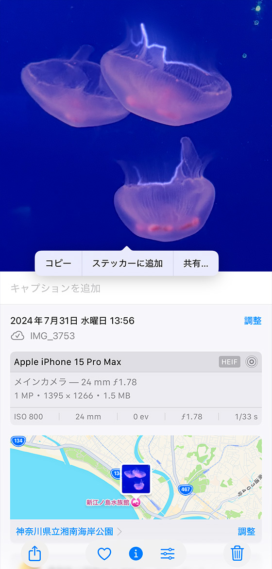 iOS18.2のiPhone標準写真アプリで画像を調べるボタンをタップして被写体を切り抜き