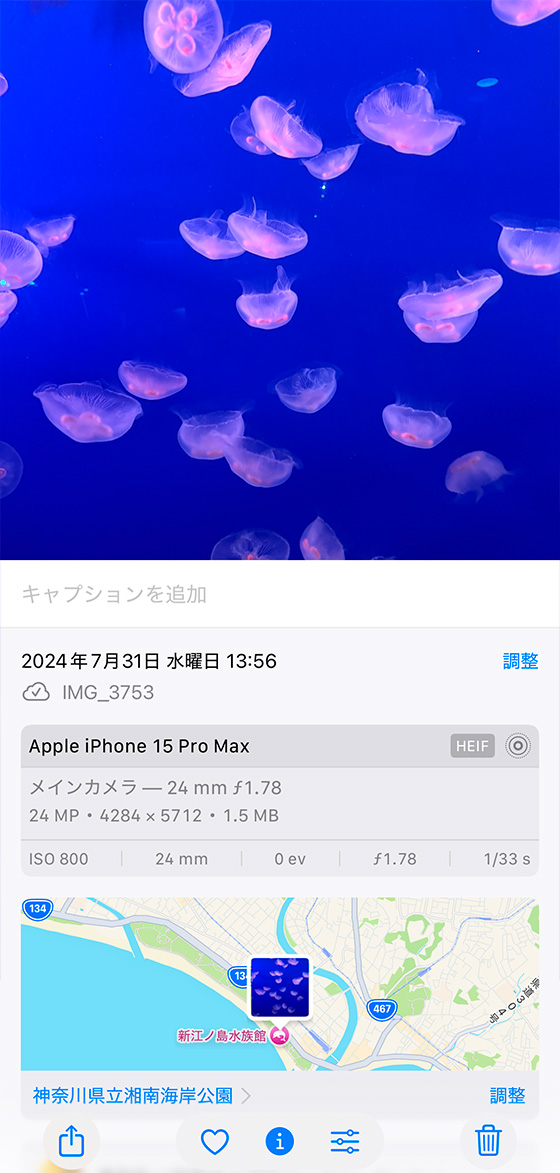 iOS18.2のiPhone標準写真アプリで画像を調べるボタンをタップ