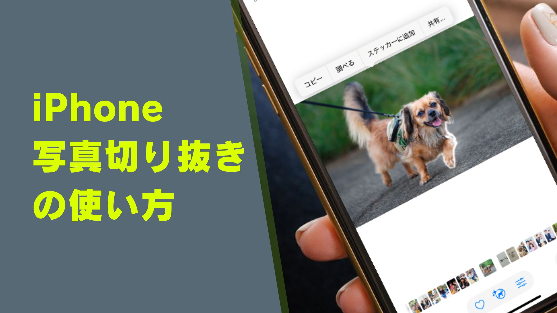 iPhoneの写真切り抜きの使い方と範囲指定のやり方