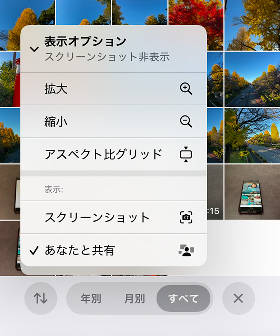 iOS18の写真アプリライブラリの表示オプション